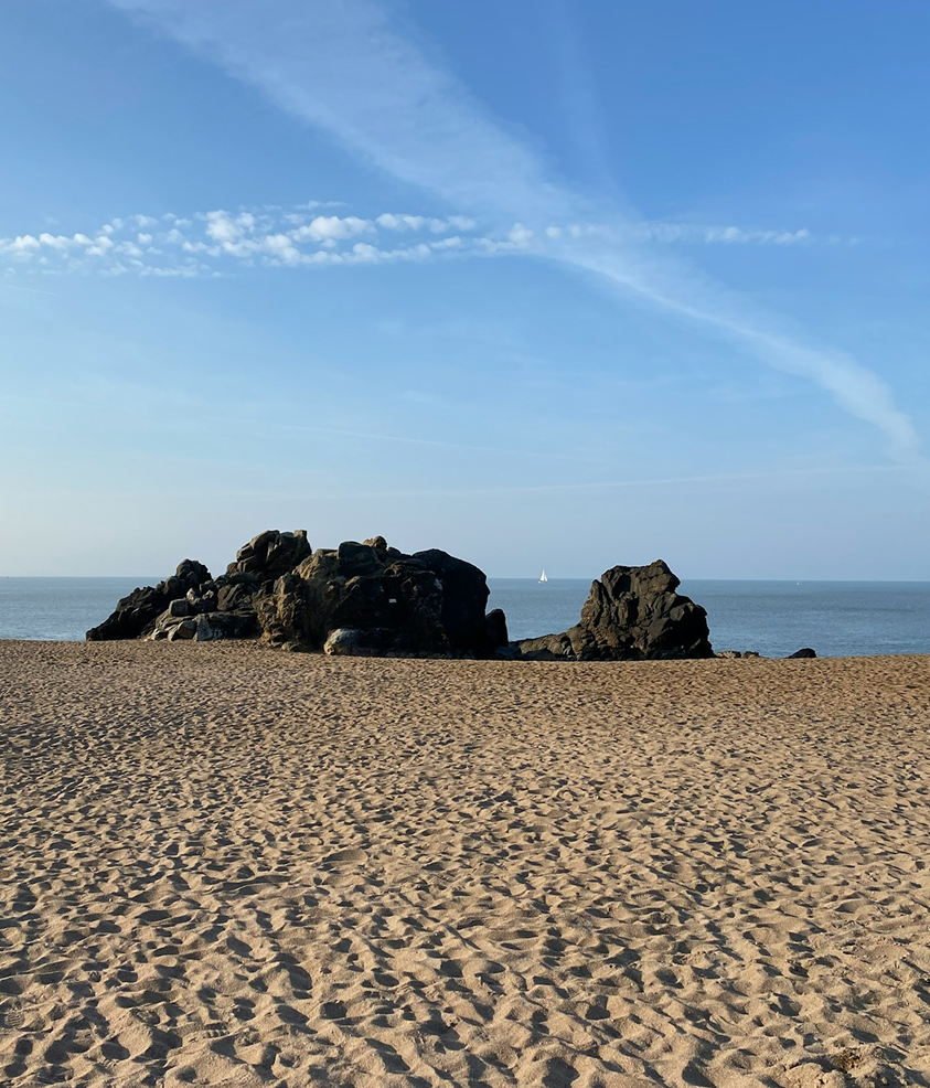 unsplash_gTuRT6HVFsg