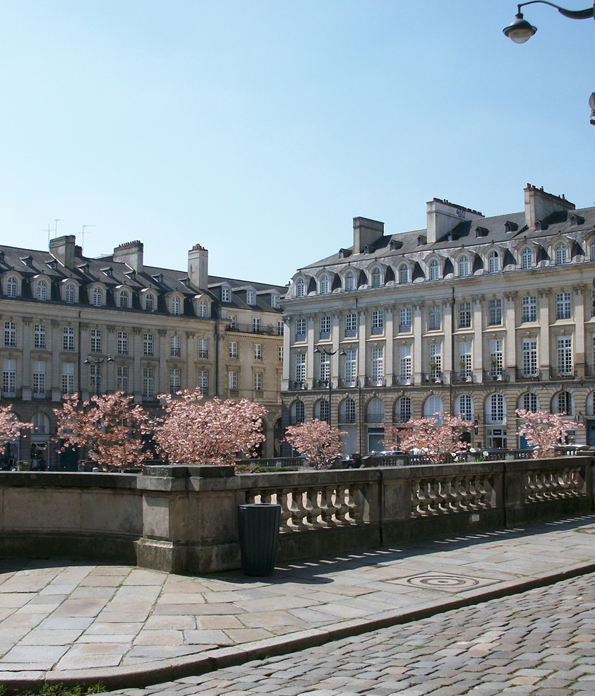 unsplash_gTuRT6HVFsg